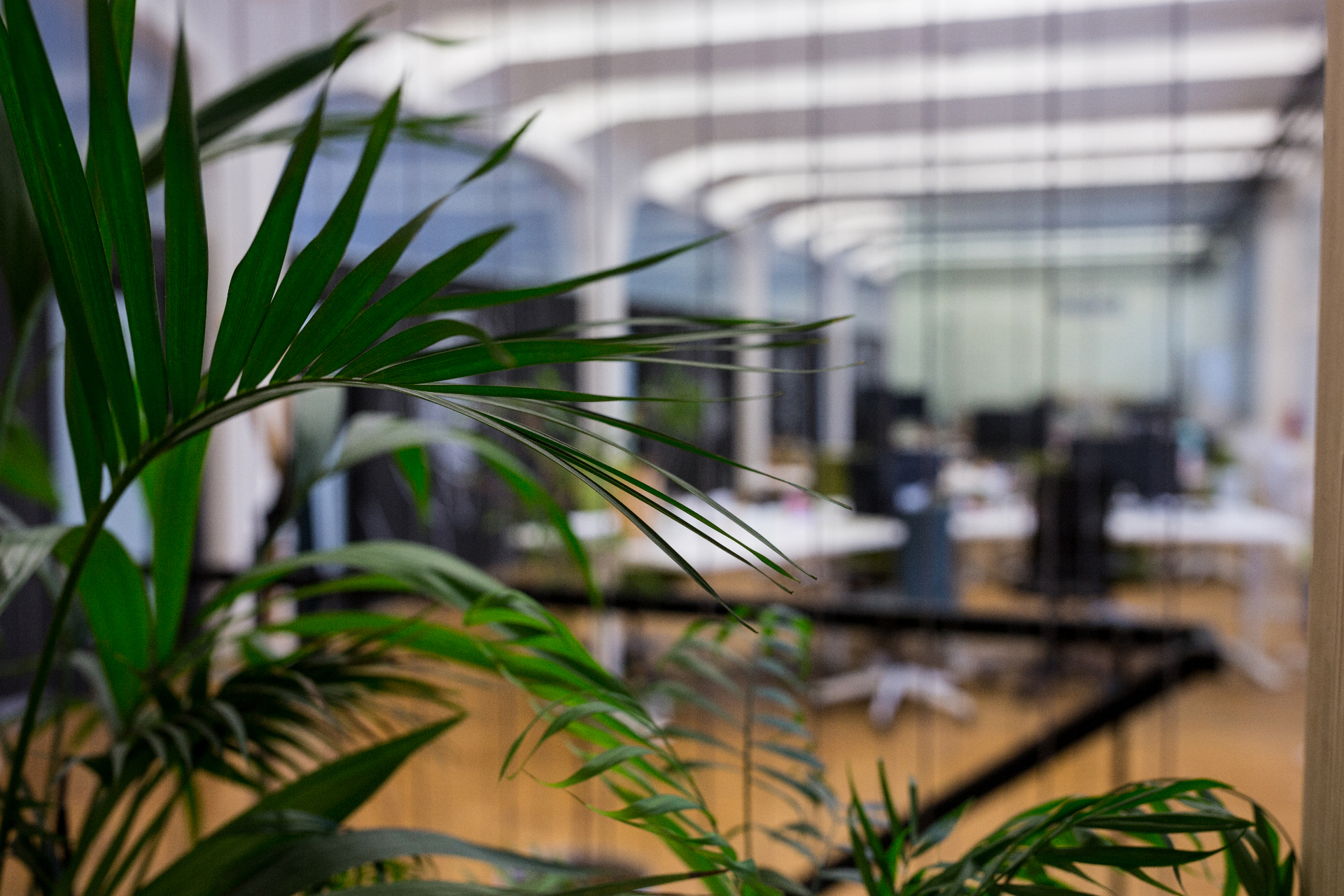 Oficinas de VentureByte